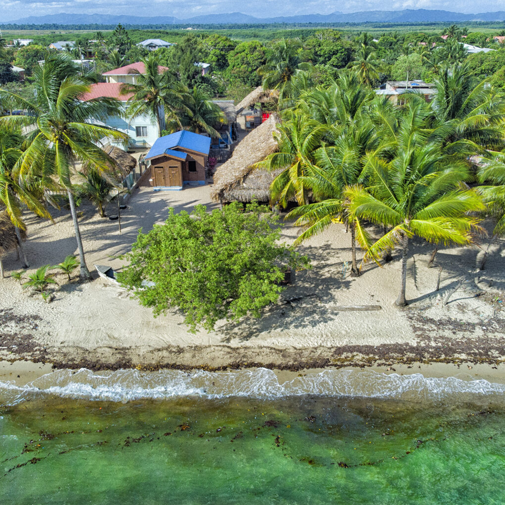 Driftwood Beach Bar & Pizza Shack | Hopkins, Stann Creek District