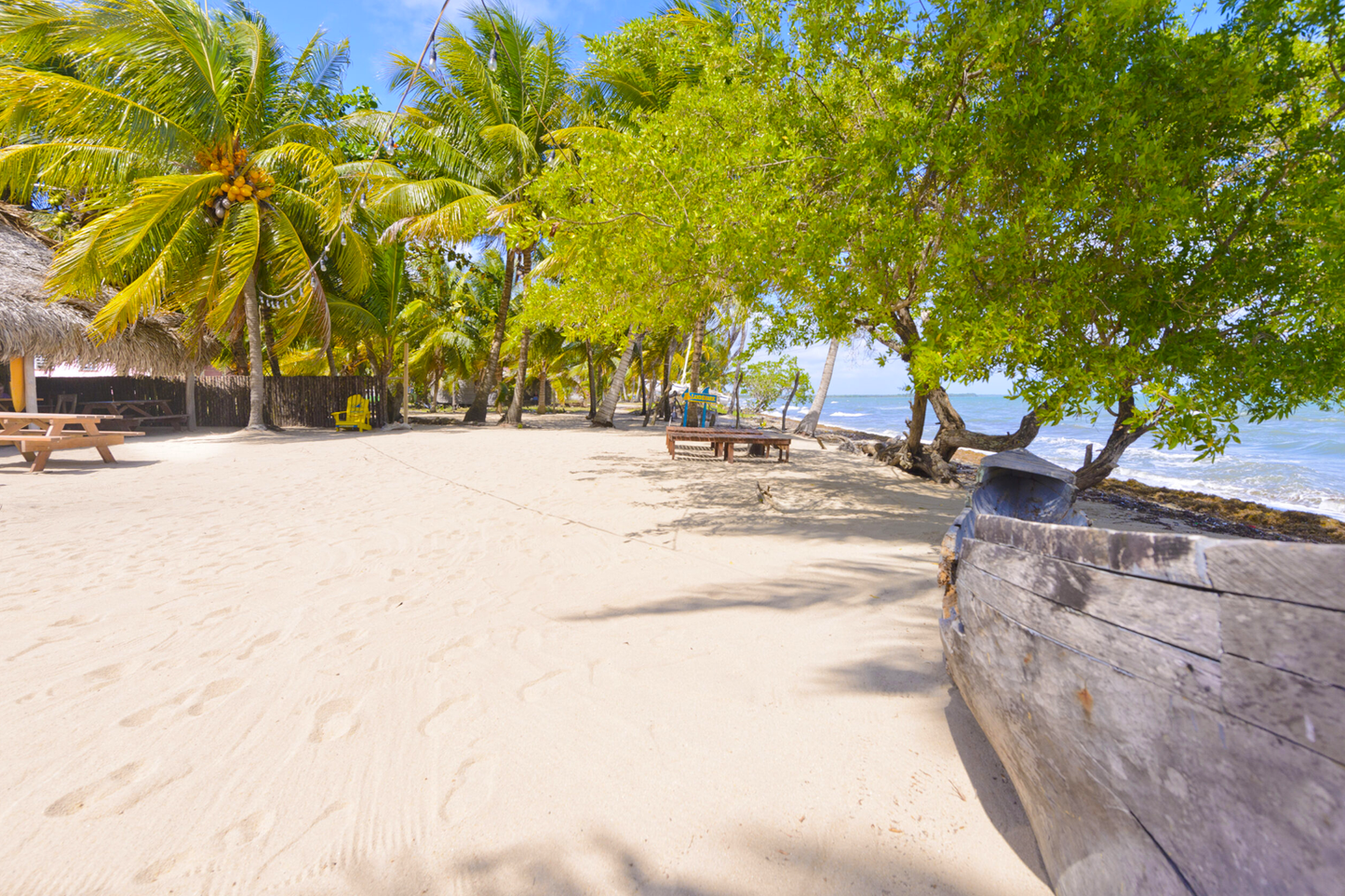 Driftwood Beach Bar & Pizza Shack | Hopkins, Stann Creek District