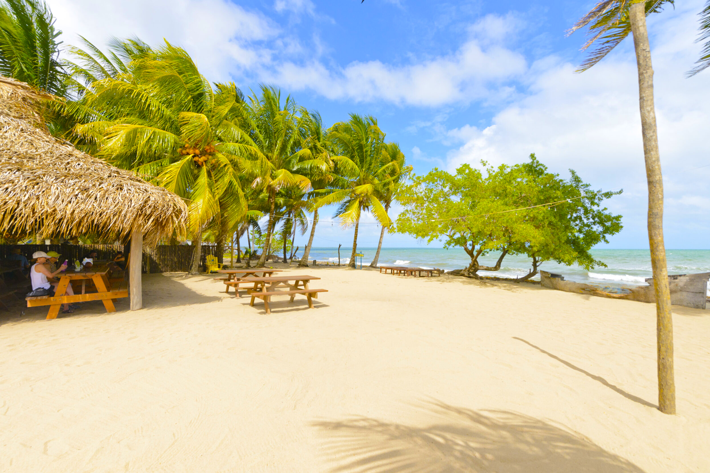 Driftwood Beach Bar & Pizza Shack | Hopkins, Stann Creek District