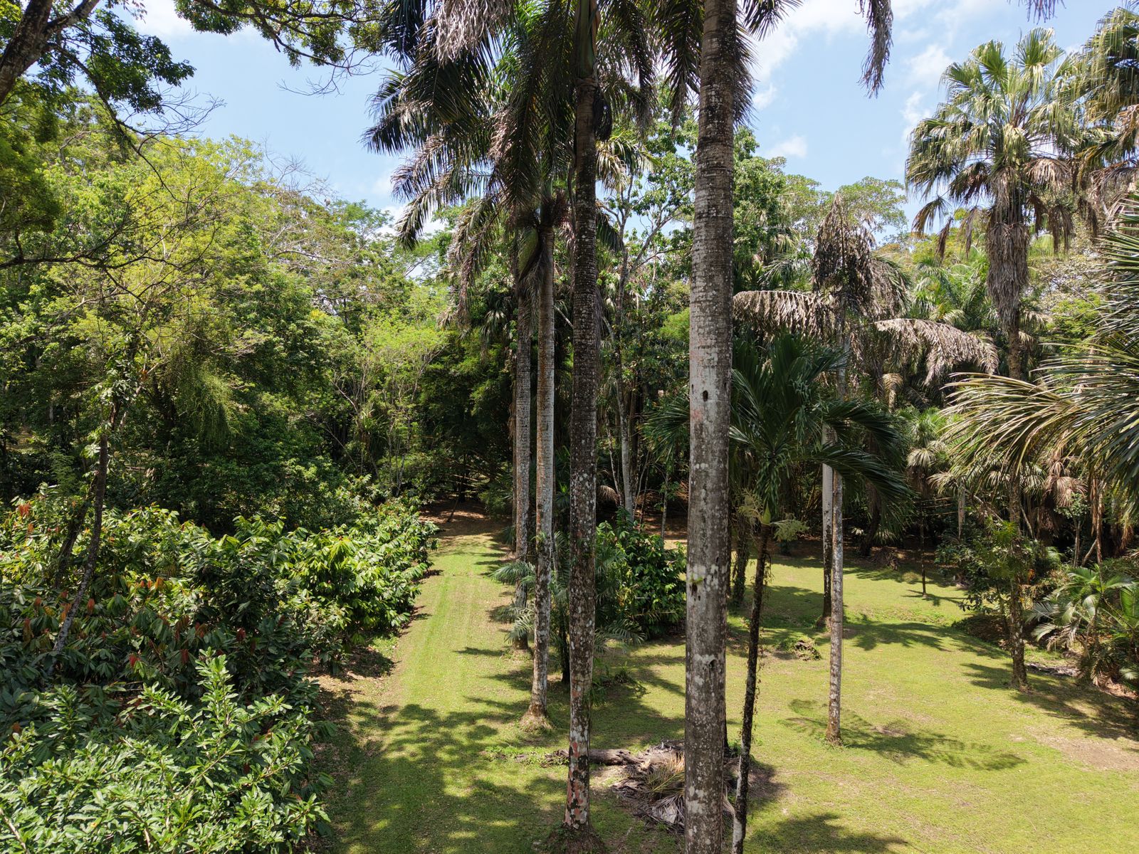 30 Acres + 2 + 1.5 Hilltop House | Big Falls, Toledo District
