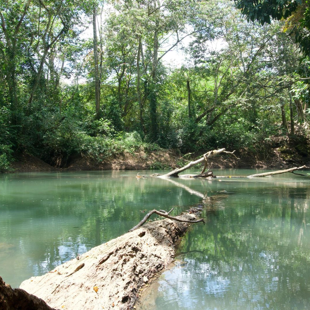 30 Acres | Big Falls, Toledo District