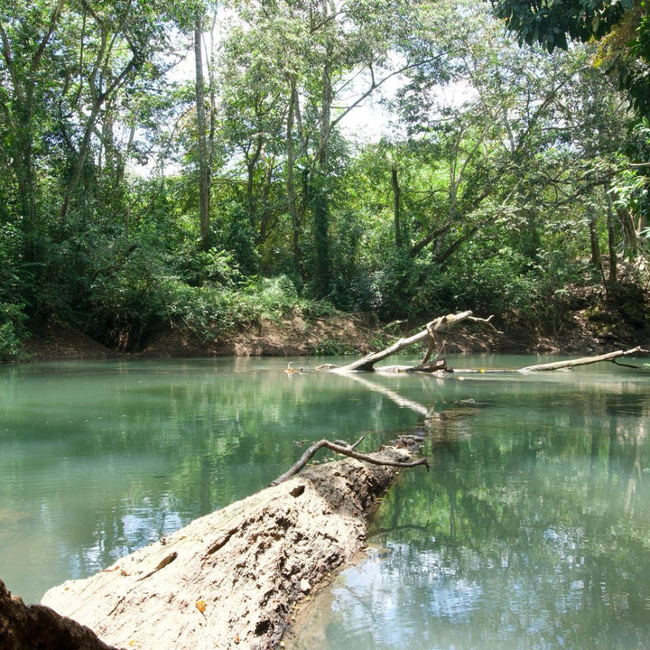 30 Acres | Big Falls, Toledo District
