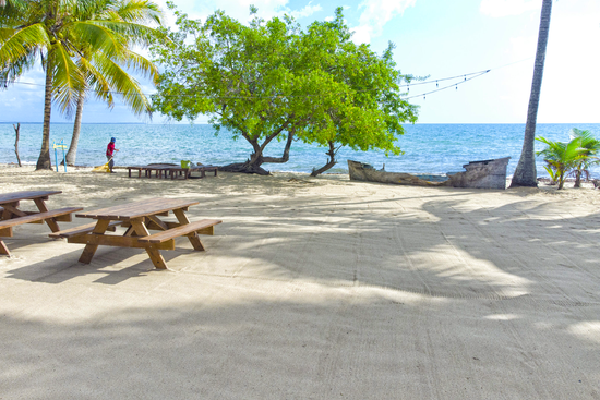 Driftwood Beach Bar & Pizza Shack  | Hopkins, Stann Creek District