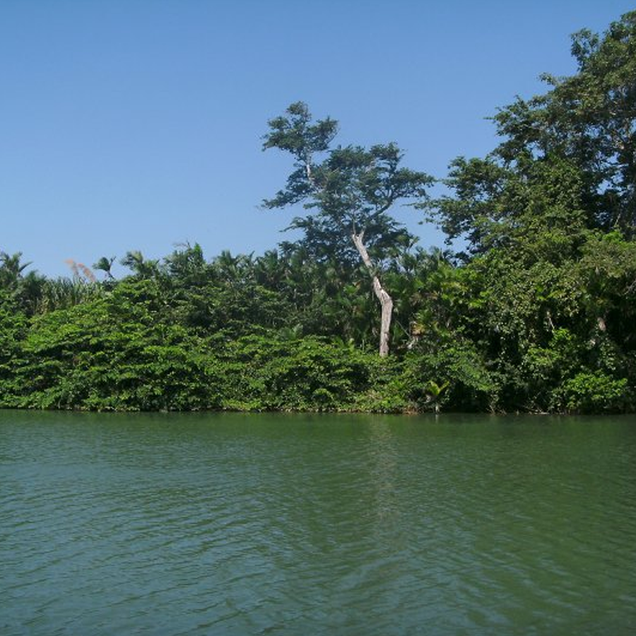 .50 Acres | Hopkins, Stann Creek District